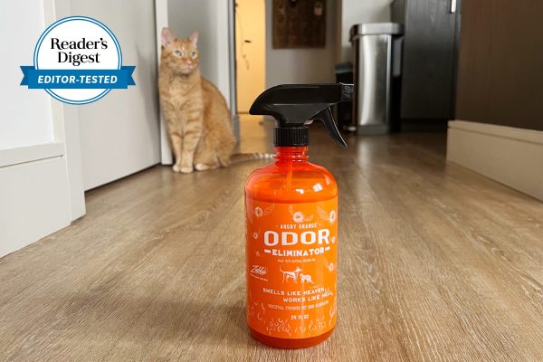 Odor-Free Oasis Strategies for Successful Odor Removal